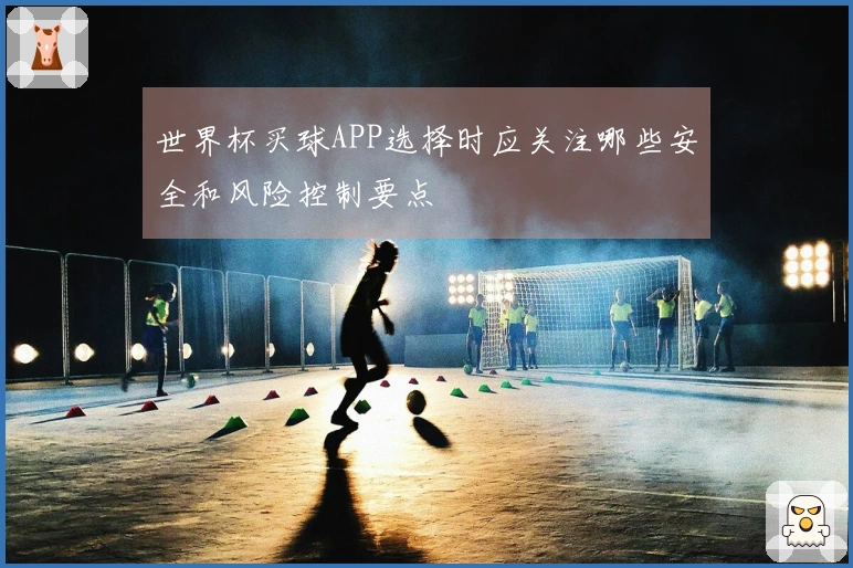 世界杯买球APP选择时应关注哪些安全和风险控制要点