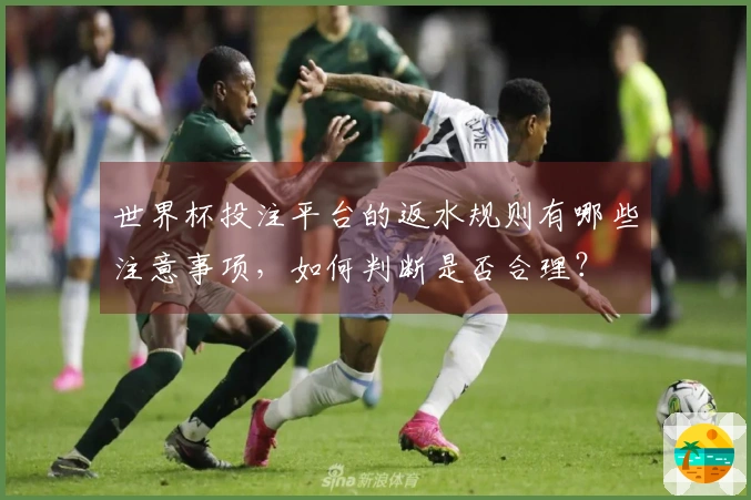 世界杯投注平台的返水规则有哪些注意事项，如何判断是否合理？