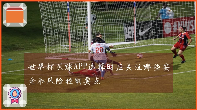 世界杯买球APP选择时应关注哪些安全和风险控制要点