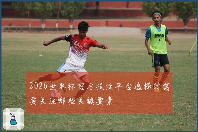 2026世界杯官方投注平台选择时需要关注哪些关键要素